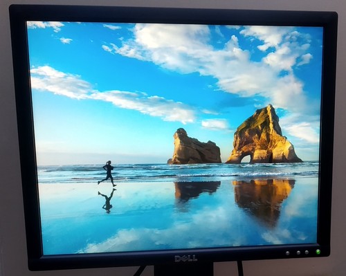 Dell ultrasharp 1905fp lcd - dell, 19"